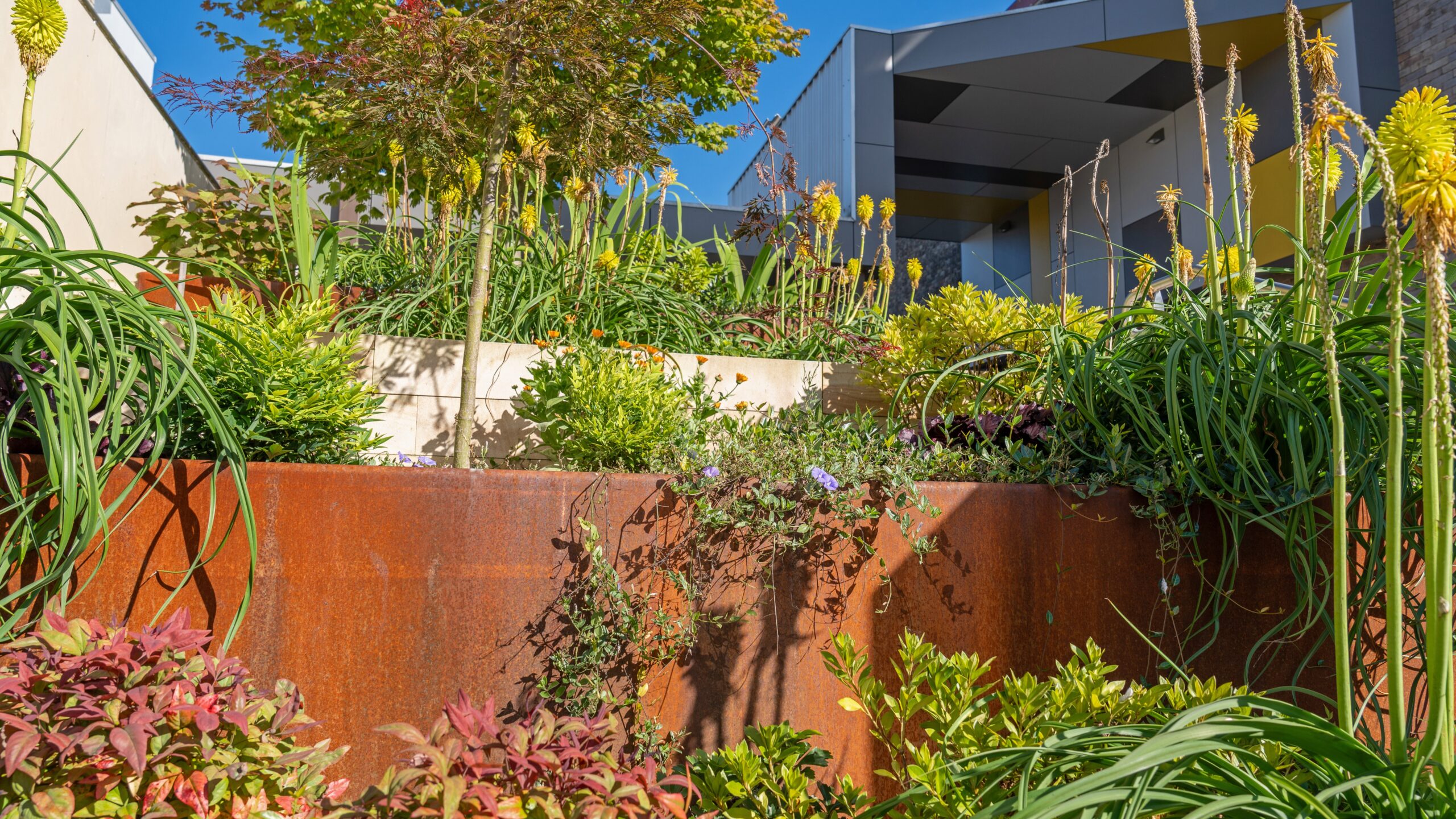 Katoomba Civic Centre Arcade's Gallery Image