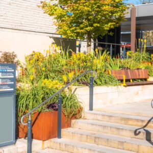 Katoomba Civic Centre Arcade's Gallery Image Nav