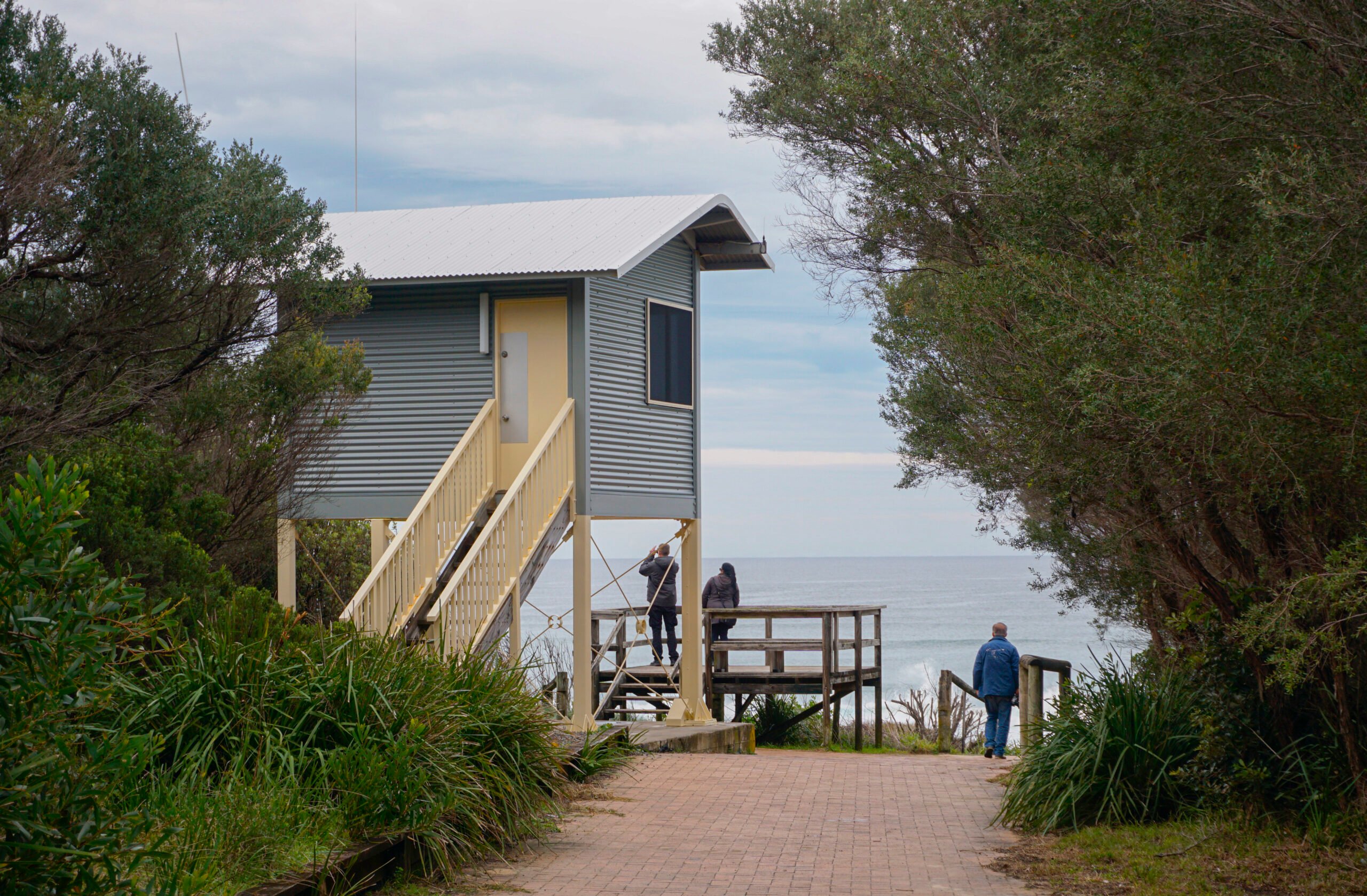 Sussex Inlet Surf Life Saving Club's Gallery Image