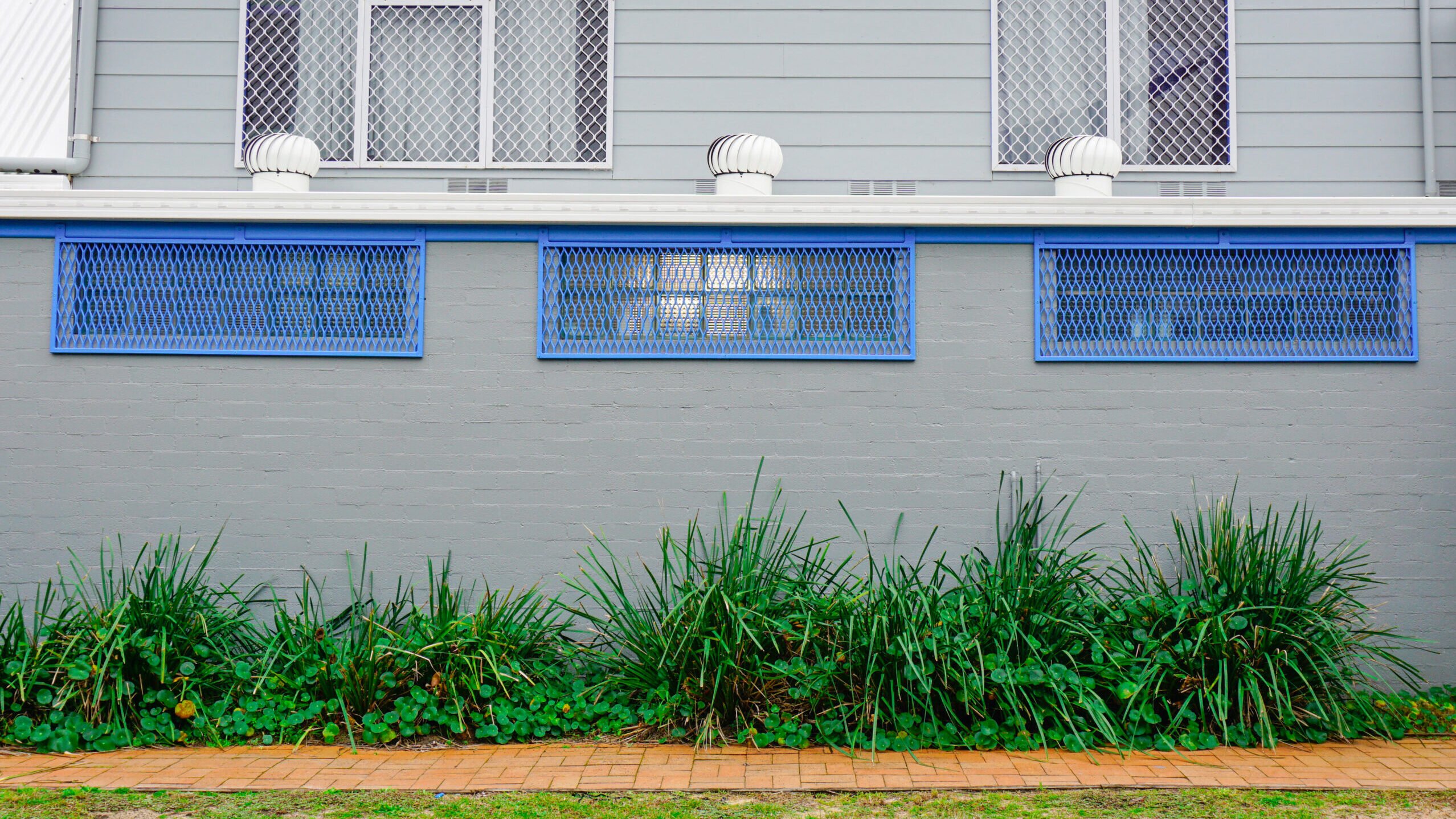 Sussex Inlet Surf Life Saving Club's Gallery Image