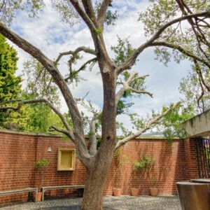 ACU Our Lady Seat of Wisdom Chapel's Gallery Image Nav