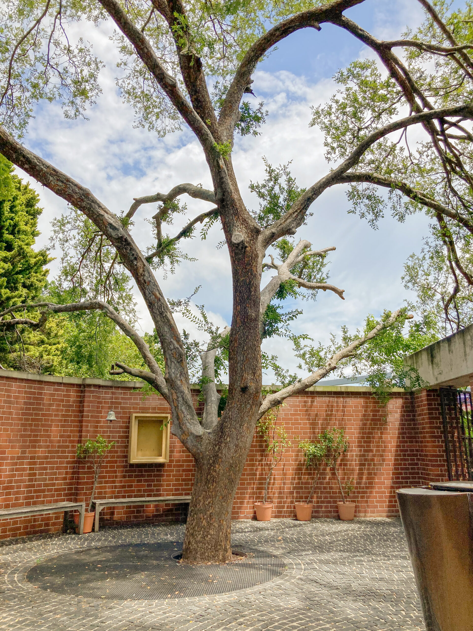 ACU Our Lady Seat of Wisdom Chapel's Gallery Image